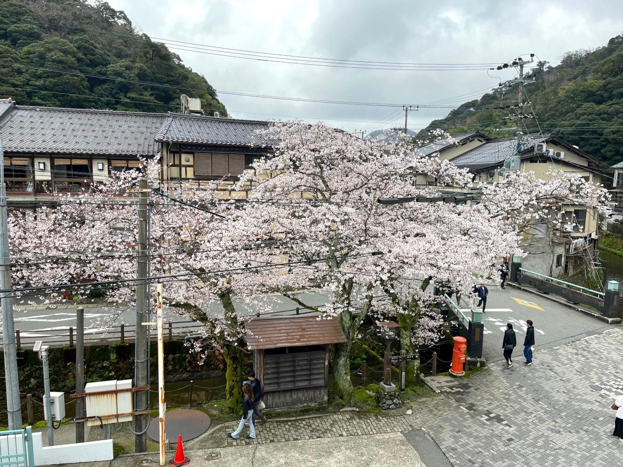 城崎温泉一棟貸し　旅宿yadokari Toyooka  Esterno foto