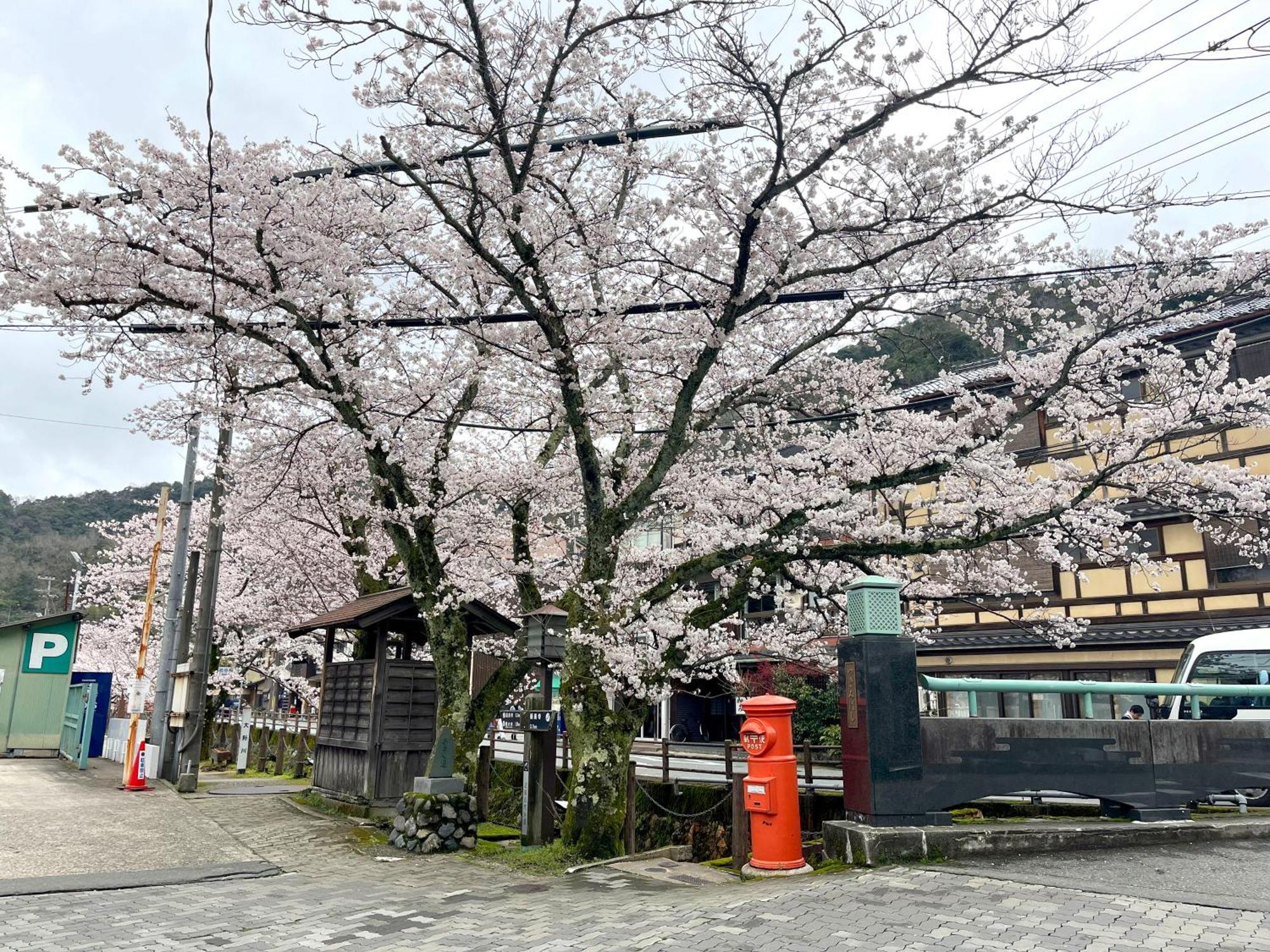 城崎温泉一棟貸し　旅宿yadokari Toyooka  Esterno foto