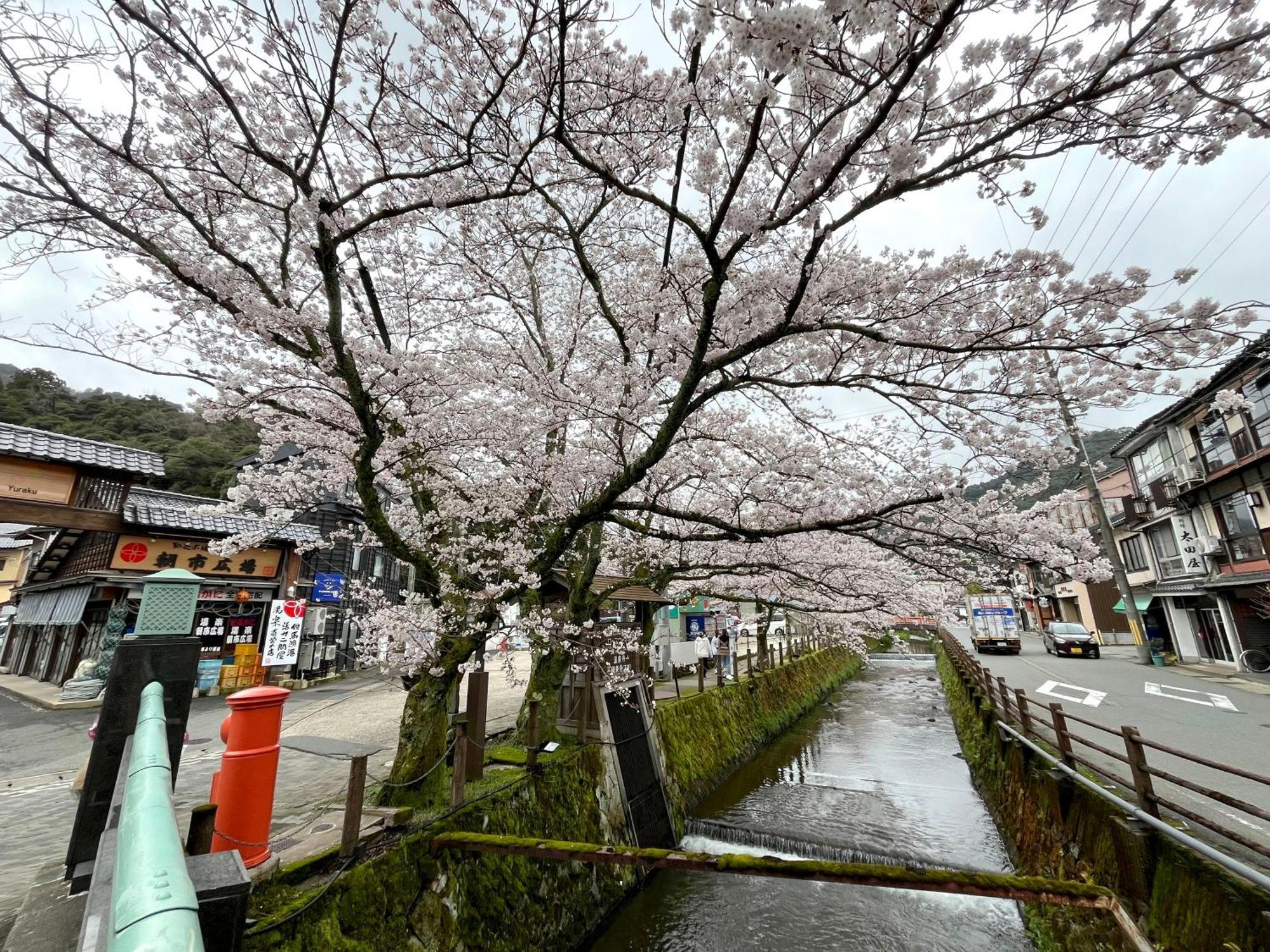城崎温泉一棟貸し　旅宿yadokari Toyooka  Esterno foto
